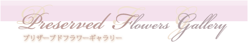preserved flower gallery プリザーブドフラワーギャラリー